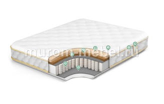 Матрас Eco Strut Hard