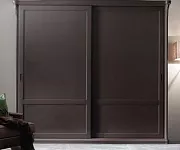 Фото Шкаф-купе двухстворчатый Гиоргио от производителя 'Муром-Мебель'