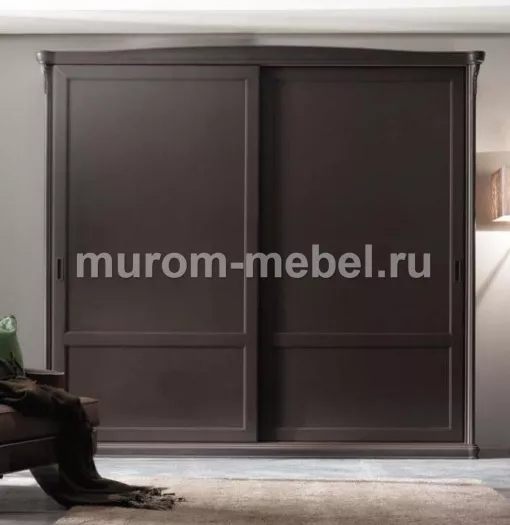 Фото Шкаф-купе двухстворчатый Гиоргио от производителя 'Муром-Мебель'