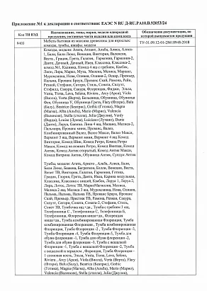 Декларация ЕАЭС N RU Д-RU.PA20B92053-24 Корпус_page-0002
