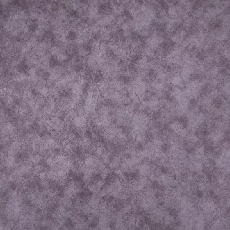 ALASKA PLUM