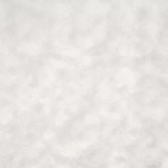 ALASKA BONE