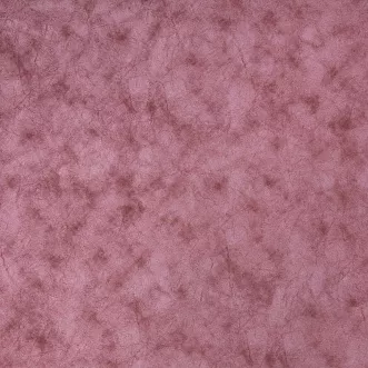 ALASKA BERRY