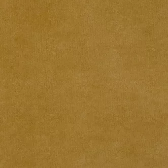ULTRA MUSTARD