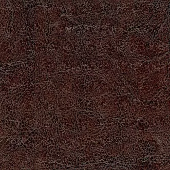 Кожа-5