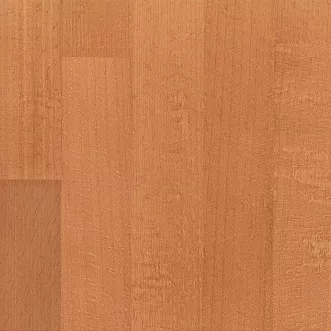 Вишня 1