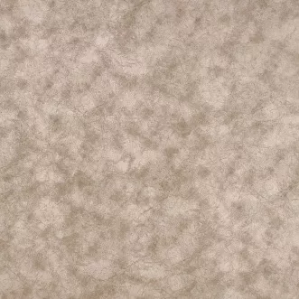 ALASKA BEIGE