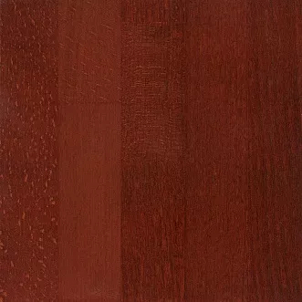 Мокко 3